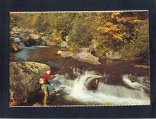 Cartão postal C1997 Canadá ao ar livre caçador pesca paraíso comprar usado  Enviando para Brazil