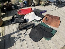 equestrian joblot for sale  COLCHESTER