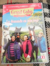 Grand galop demande d'occasion  Aiffres