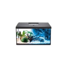 Fish glass aquarium for sale  ENFIELD