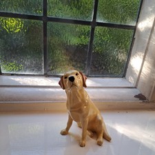 Ceramic golden labrador for sale  DERBY