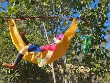 Vintage windsport fisherman for sale  Sacramento