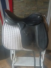 Kieffer wien professional for sale  Whitefish