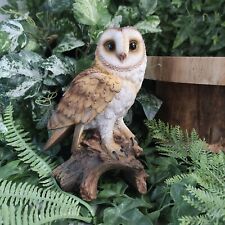 Barn owl real for sale  COLERAINE