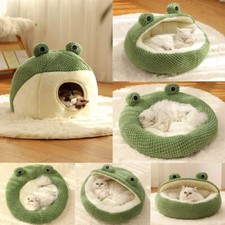 Cute frog shape gebraucht kaufen  Versand nach Germany