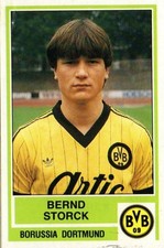 Panini fußball storck gebraucht kaufen  Witzenhausen