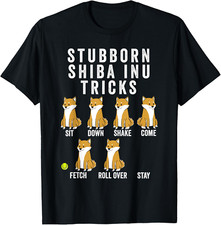 shiba inu usato  Roma