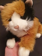 ty classic cat for sale ty classic cat for sale NORTH SHIELDS