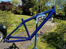 Santa cruz chameleon for sale  CUPAR