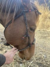 Vintage western hackamore for sale  Silver City