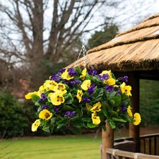 Artificial purple yellow for sale  NORTHAMPTON