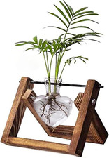 Terrarium with wooden d'occasion  Expédié en France