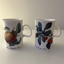 Dunoon fruit mugs for sale  CLECKHEATON