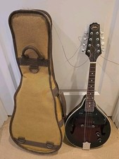 Bestler red sunburst for sale  Bothell
