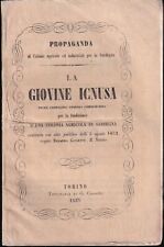 Giovine icnusa colonia usato  Sezzadio