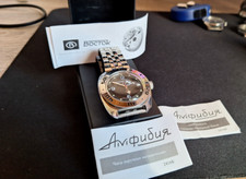 vostok amphibia usato vostok amphibia usato Ravenna
