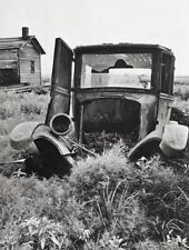 trucks old cars junk for sale trucks old cars junk for sale Tampa