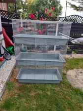 Rabbit guinea pig for sale  SWINDON