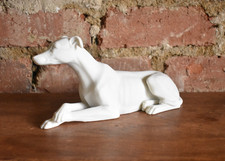 Large white greyhound for sale  SPALDING