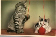 Cats playing with d'occasion  Expédié en Belgium