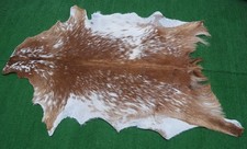 New goat hide for sale  SOUTHALL
