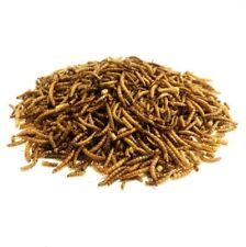 Dried mealworms 12.5kg for sale  HULL