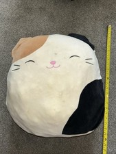 squishmallows cat for sale squishmallows cat for sale ABOYNE