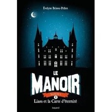Livre manoir saison d'occasion  Les Mureaux