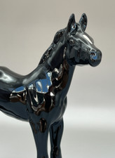 Rare black gloss for sale  WIMBORNE