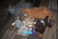 Hasbro 2002 furreal for sale  Saint Petersburg