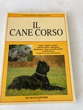 Cane corso giuseppe usato  Mel