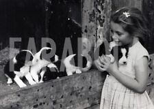 Vintage animali cinque usato  Roma