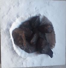 Meteorite with recognized gebraucht kaufen  Oberhausen