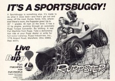 1971 ruppster sportsbuggy for sale  USA