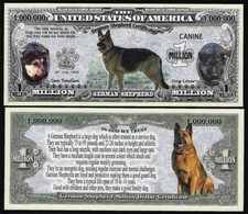 German shepherd dog for sale  Mason City
