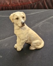 Yellow labrador 3 for sale  KETTERING