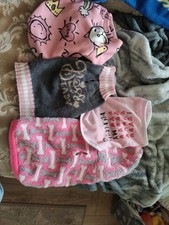 Lot tiny breed for sale  Ivanhoe