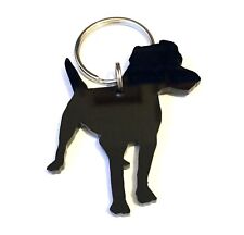 Patterdale terrier dog for sale  ANNAN