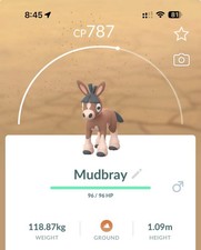 Pokemon Go - Mudbray - City safari - Normal (não brilhante) comprar usado  Enviando para Brazil