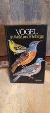 Buch vögel wald gebraucht kaufen  Bad Rappenau