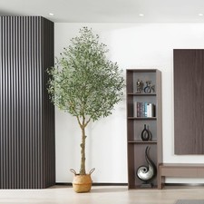 Artificial olive tree for sale  Brentwood