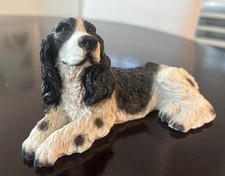 English cocker springer for sale  Bonita Springs