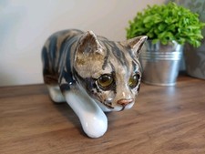 Beautiful winstanley tabby for sale  WELLINGBOROUGH