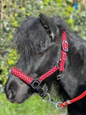 Equipride unicorn poky for sale  LEEDS