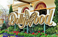 Dollywood theme park for sale  New York