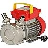 Rover pompe 640000 usato  Italia