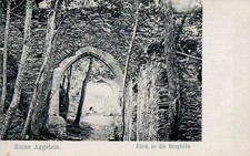 Ruine aggstein blick gebraucht kaufen  Bad Bergzabern