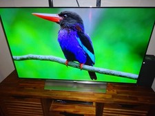 55ef9500 oled oled for sale  Elmhurst