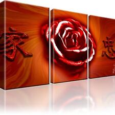 Rose blume bild gebraucht kaufen  Deutschland