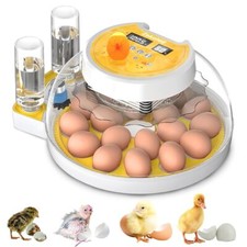 Incubators hatching eggs for sale  Whippany
